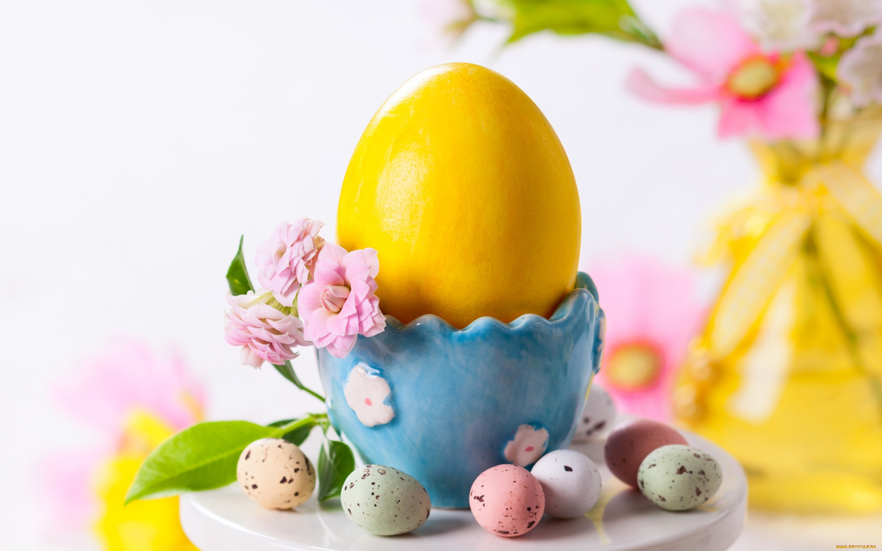 , , , , egg, , easter, 